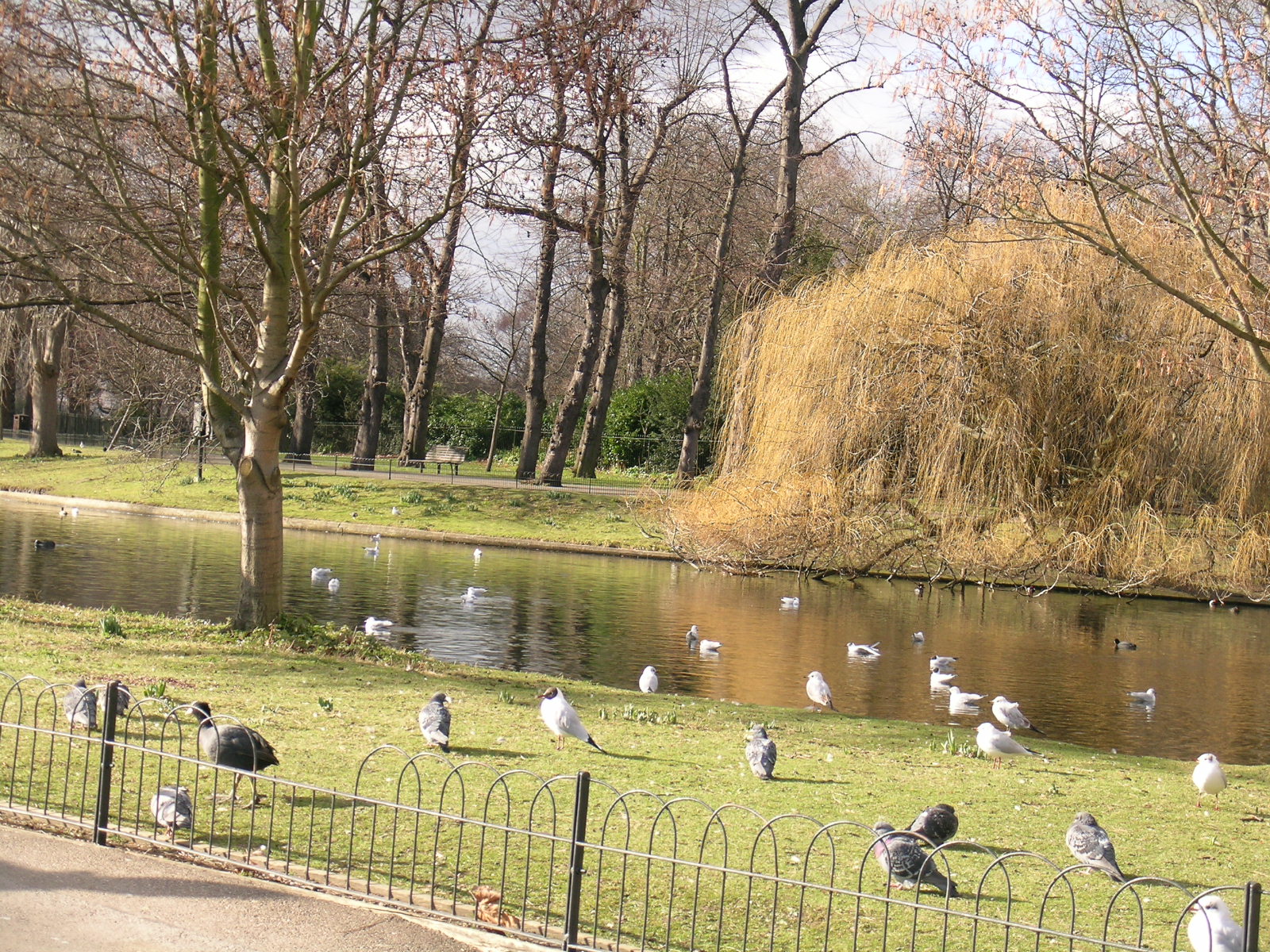 伦敦 - 照片 12 / London Photo 12