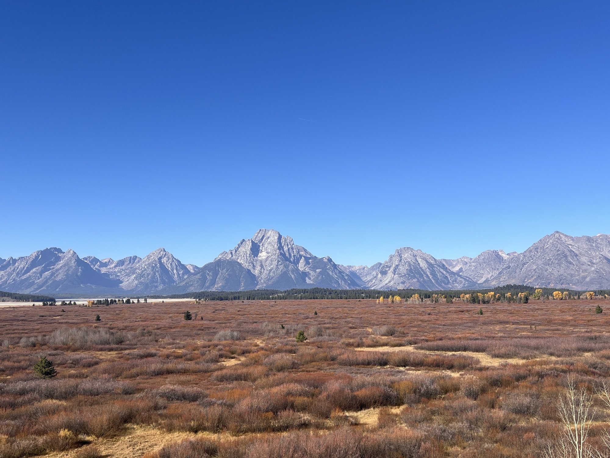 大提顿国家公园 - 照片 2 / Grand Teton National Park Photo 2