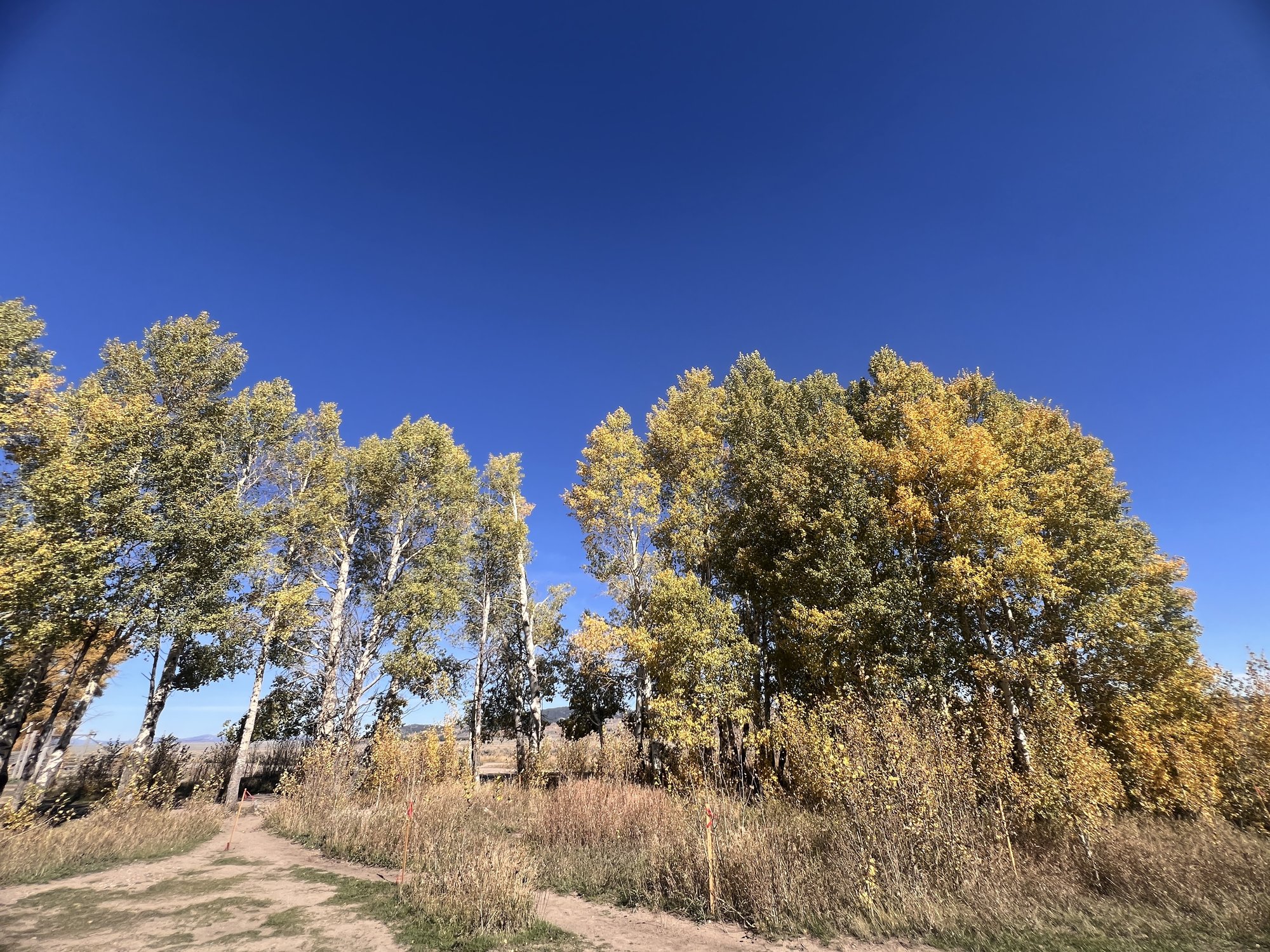 大提顿国家公园 - 照片 12 / Grand Teton National Park Photo 12