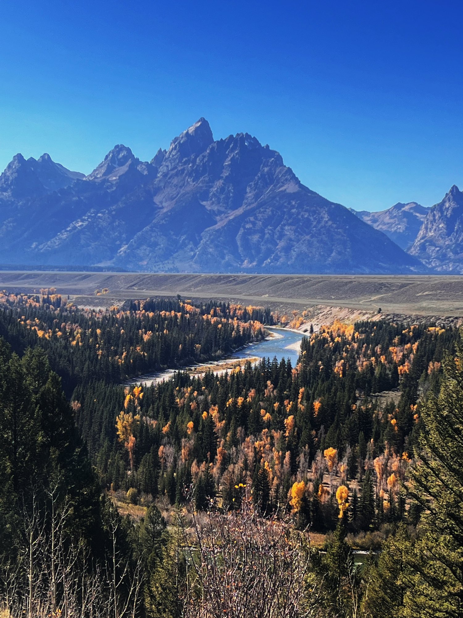 大提顿国家公园 - 照片 13 / Grand Teton National Park Photo 13