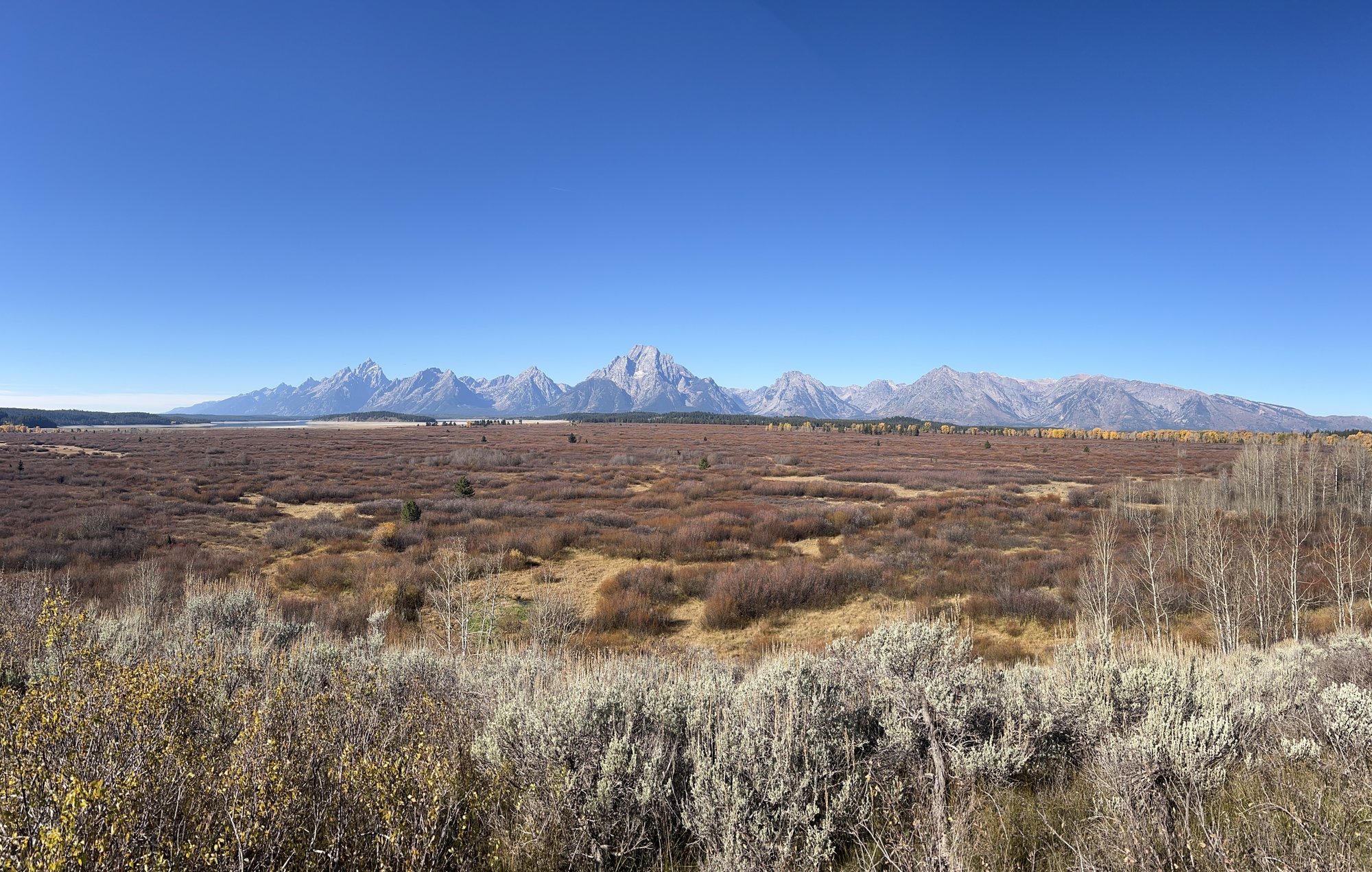 大提顿国家公园 - 照片 3 / Grand Teton National Park Photo 3