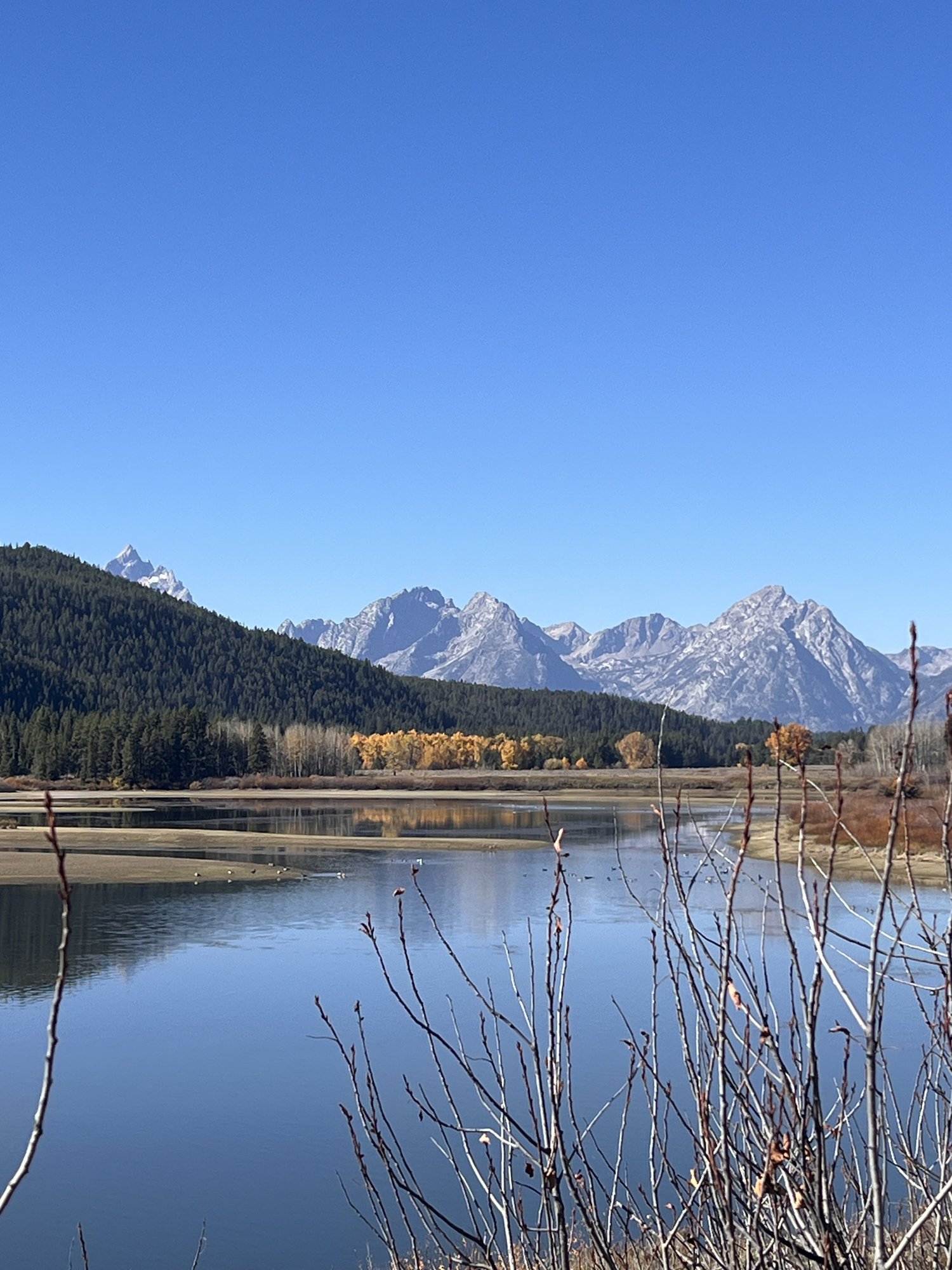 大提顿国家公园 - 照片 4 / Grand Teton National Park Photo 4