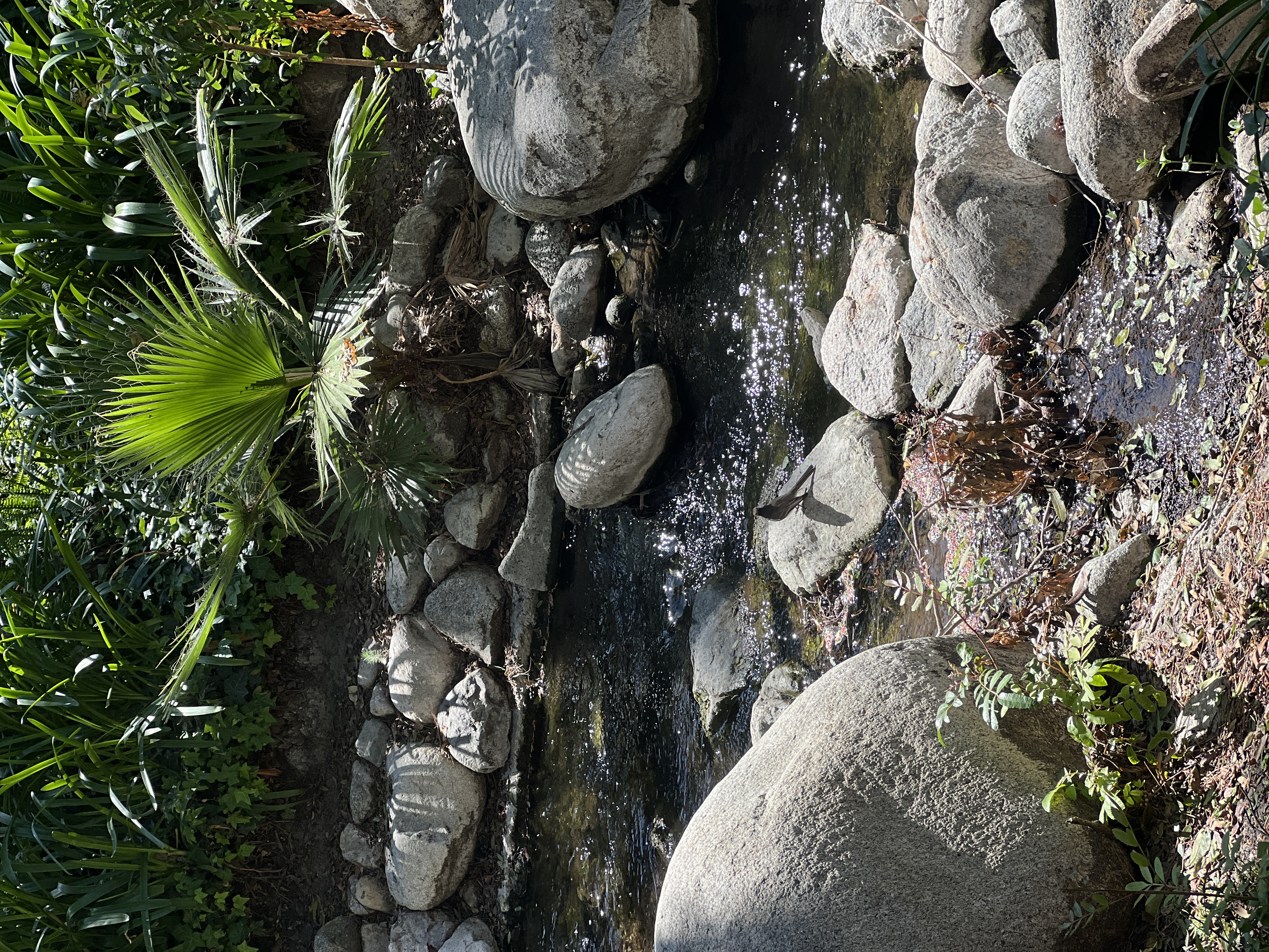 尔湾 - 照片 8 / Irvine Photo 8