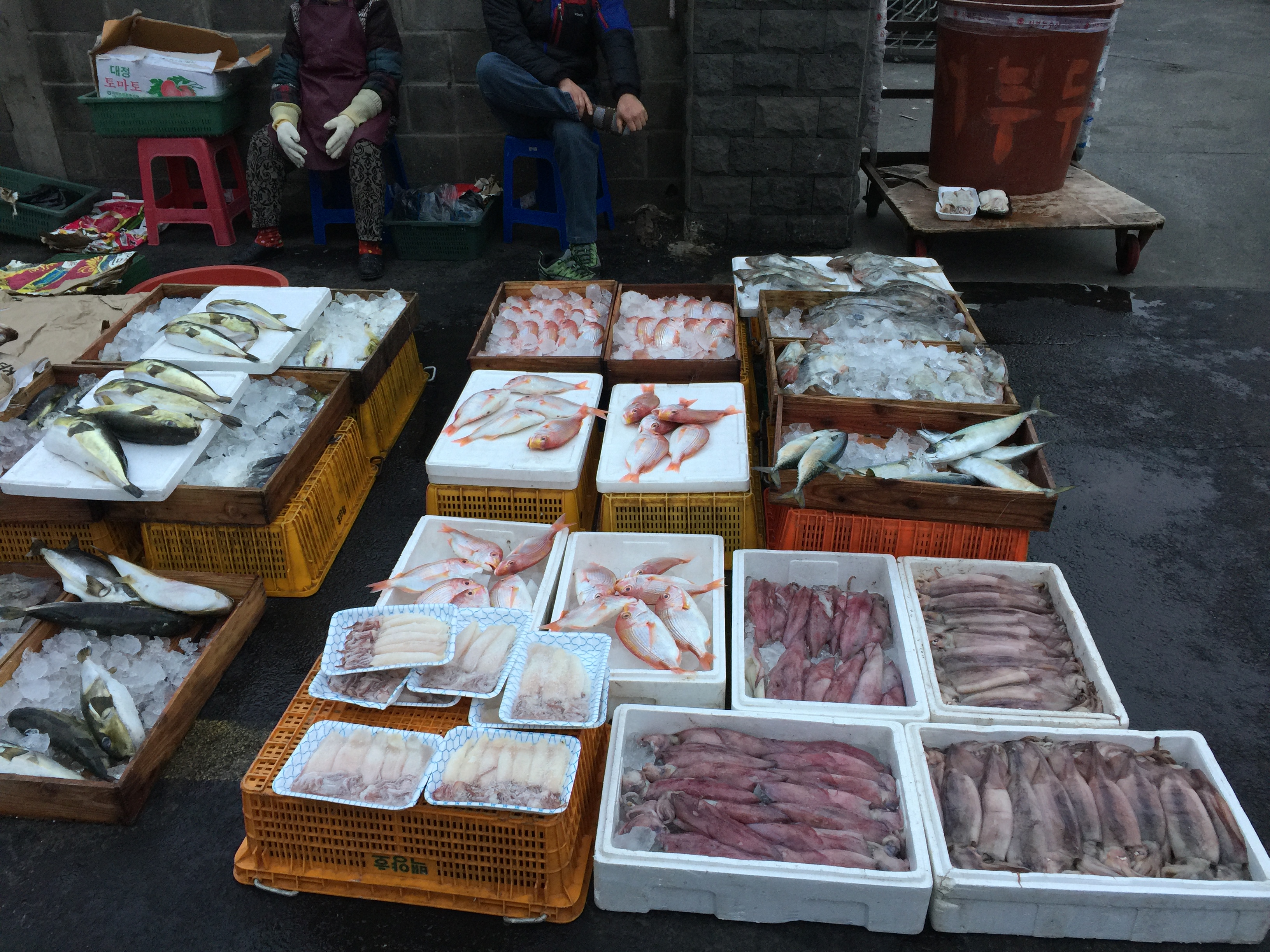 济州 - 照片 3 / Jeju Photo 3