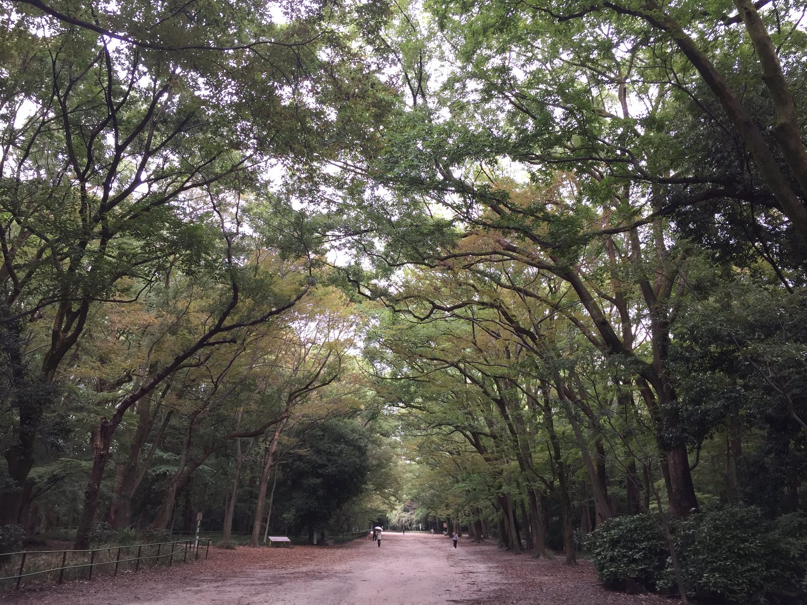 京都 - 照片 8 / Kyoto Photo 8