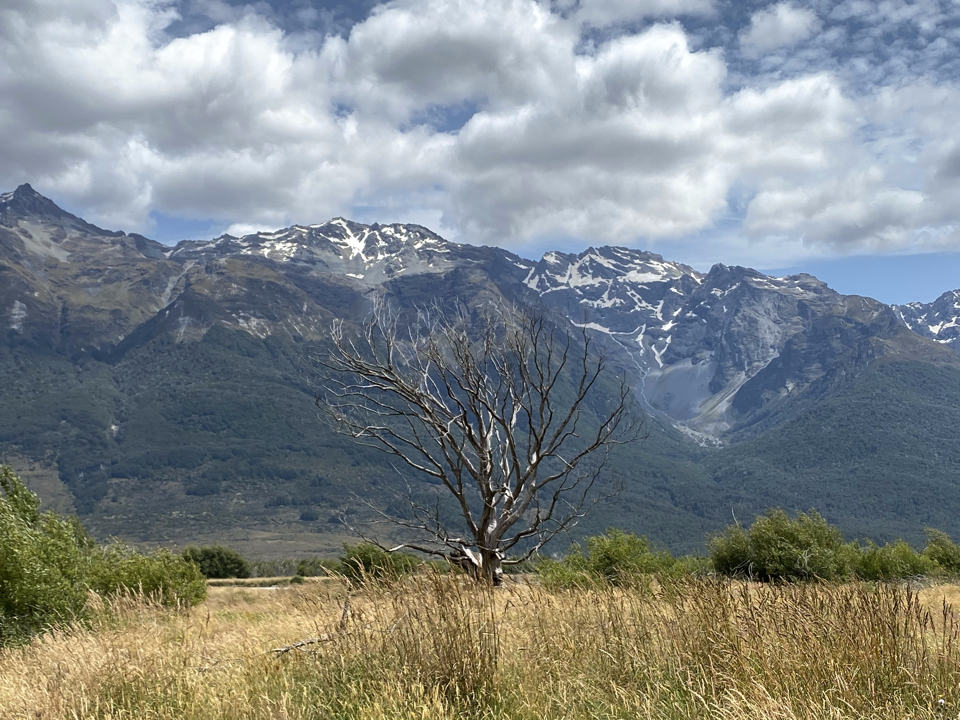 皇后镇 - 照片 9 / Queenstown Photo 9