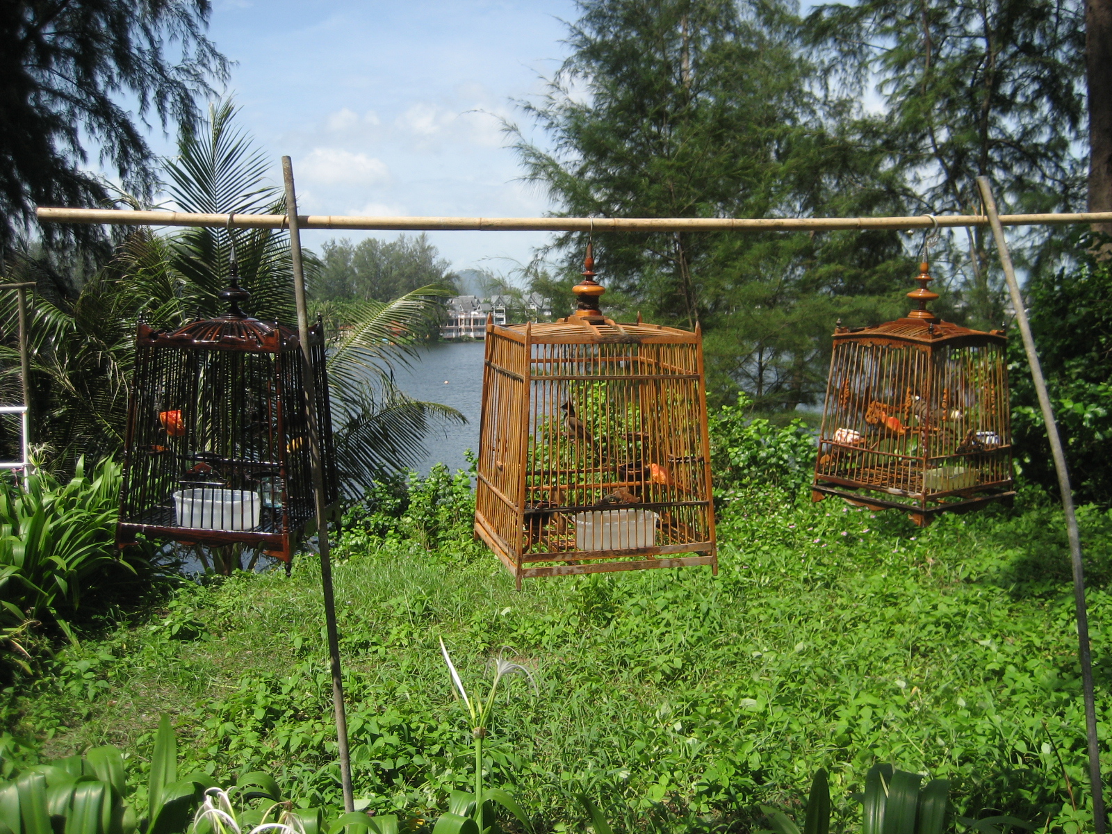普吉岛 - 照片 5 / Phuket  Photo 5