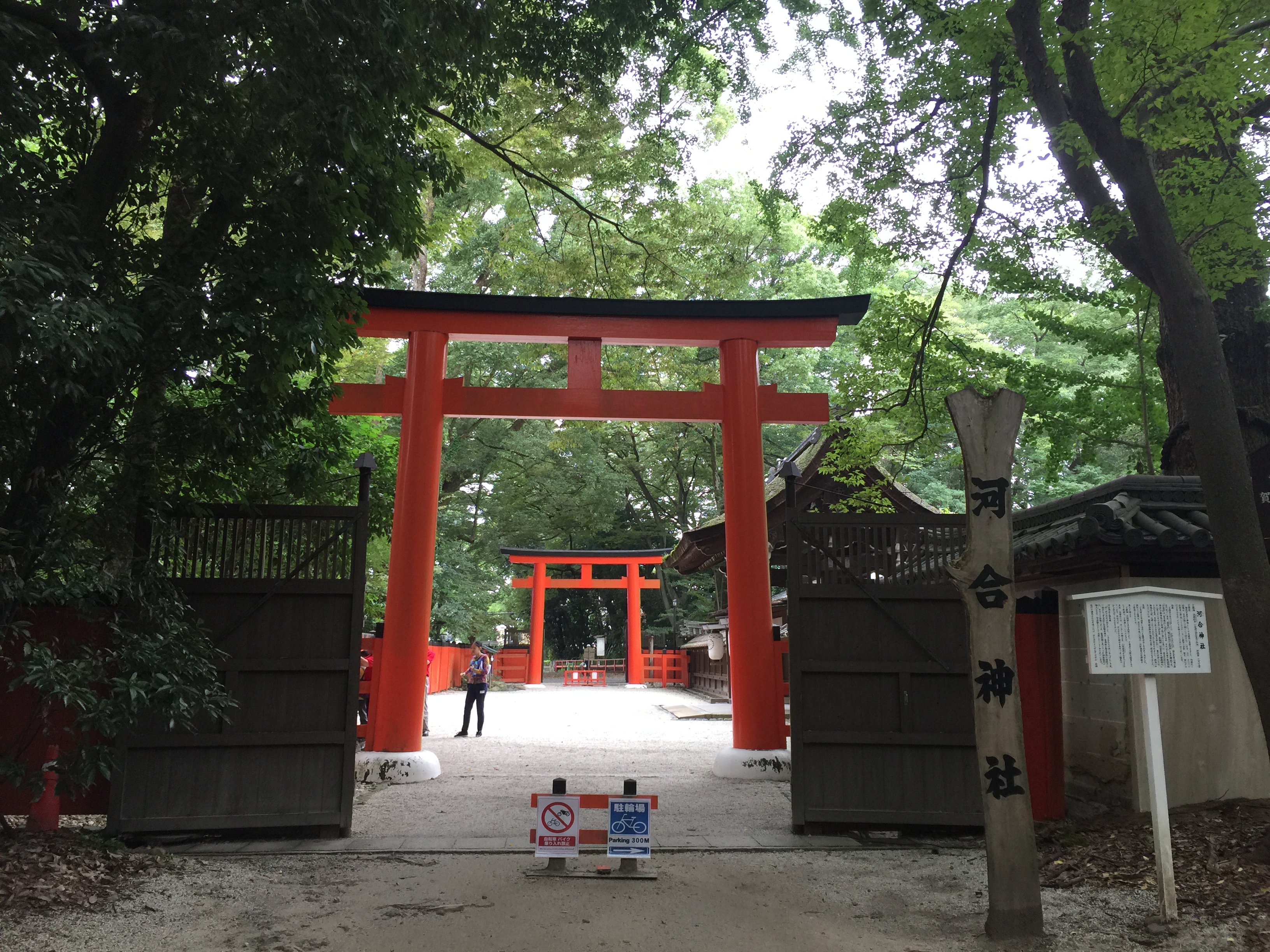 东京 - 照片 1 / Tokyo Photo 1