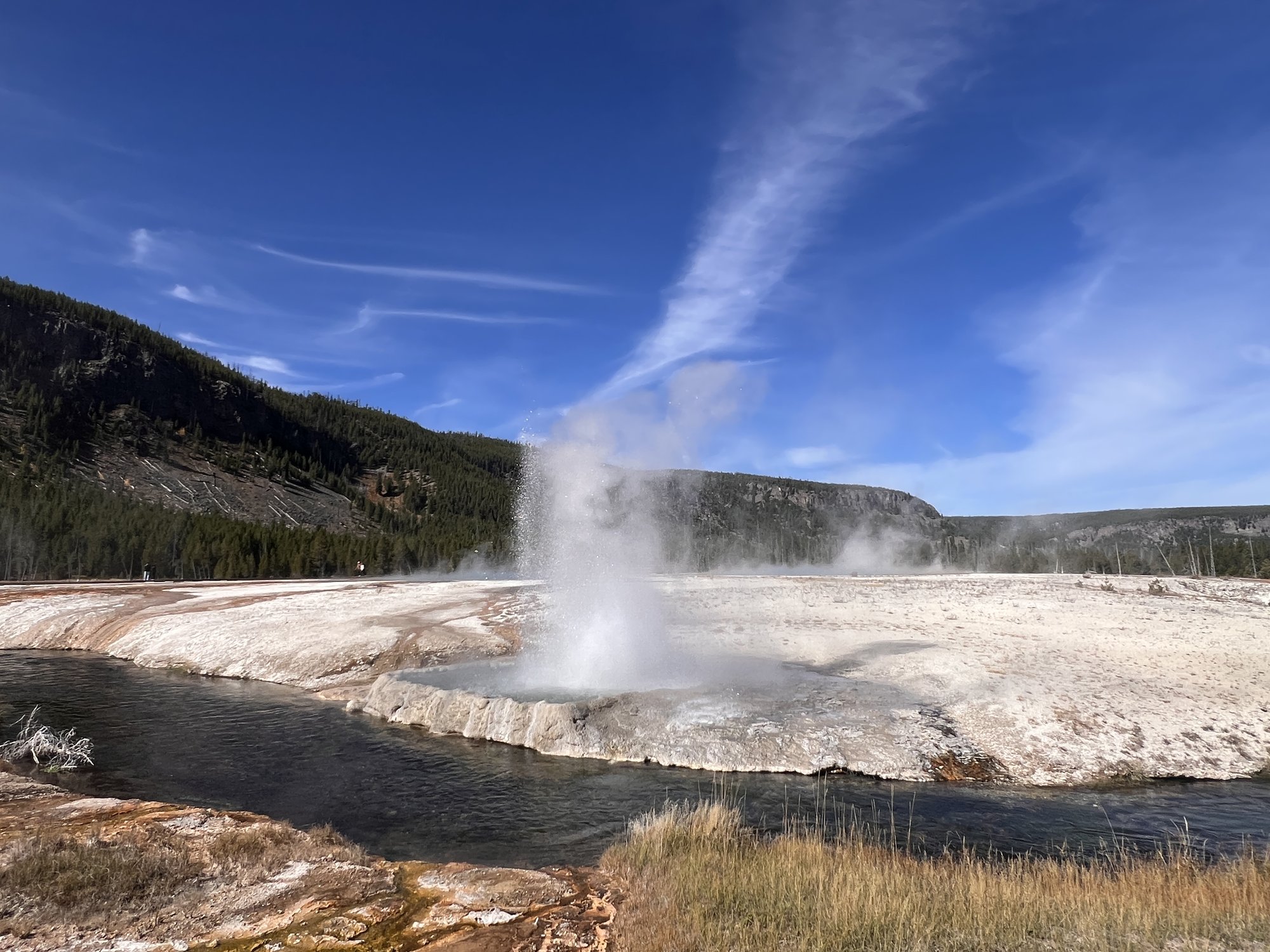 黄石国家公园 - 照片 9 / Yellowstone National Park Photo 9
